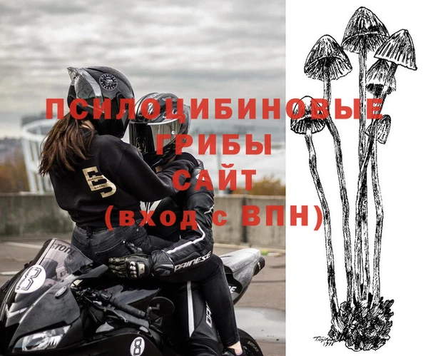 гидра Алзамай