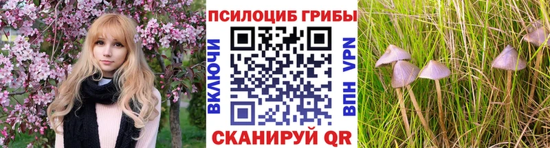 Галлюциногенные грибы Psilocybe  где купить   Сим 